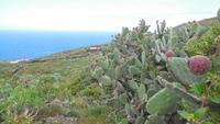 Wanderung nach Pozo de las Calcosas