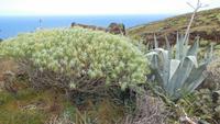 Wanderung nach Pozo de las Calcosas