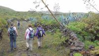 Wanderung nach Pozo de las Calcosas
