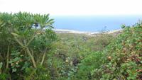 Wanderung nach Pozo de las Calcosas
