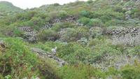 Wanderung nach Pozo de las Calcosas