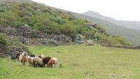 Wanderung nach Pozo de las Calcosas