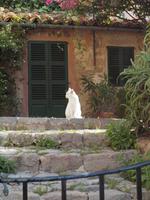 Wanderung von Déiá nach Sóller