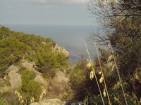 Wanderung von Déiá nach Sóller