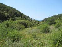 Wanderung von Es Migjorn Gran an den Strand von Cala Galdana