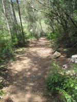 Wanderung von Es Migjorn Gran an den Strand von Cala Galdana