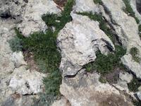 Wanderung von Es Migjorn Gran an den Strand von Cala Galdana