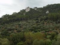 Wanderung von Esporles nach Banyalbufar