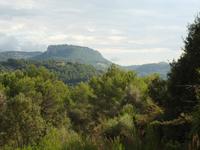 Wanderung von Esporles nach Banyalbufar