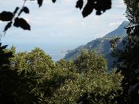 Wanderung von Esporles nach Banyalbufar