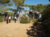 Wanderung von Esporles nach Banyalbufar