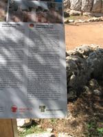 Wanderung von Son Bou nach Es Canutells