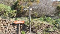 Wanderung zu den schiefen Wacholderbäumen
