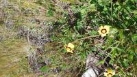 Wanderung zum Gipfel