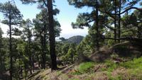 Wanderung zum Gipfel