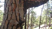 Wanderung zum Gipfel