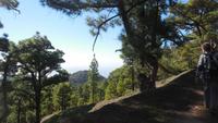 Wanderung zum Gipfel