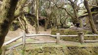 Wanderung zum Gipfel