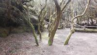 Wanderung zum Gipfel