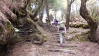 Wanderung zum Gipfel