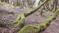 Wanderung zum Gipfel