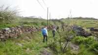 Wanderung zum Mirador Isora