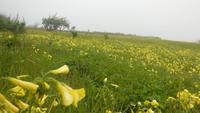 Wanderung zum Mirador Isora