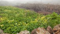 Wanderung zum Mirador Isora