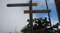 Wanderung zum Mirador Isora