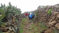 Wanderung zum Mirador Isora