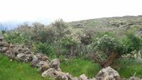 Wanderung zum Mirador Isora