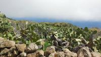 Wanderung zum Mirador Isora