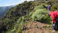 Wanderung zum Mirador Isora