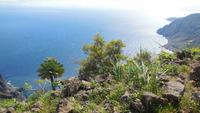Wanderung zum Mirador Isora
