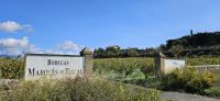 Weinfelder der Bodega Marques de Riscal