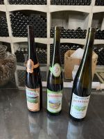 Weinkellerei 