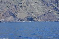 Whale Watching Tour 