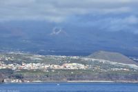 Whale Watching Tour