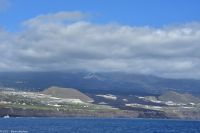 Whale Watching Tour