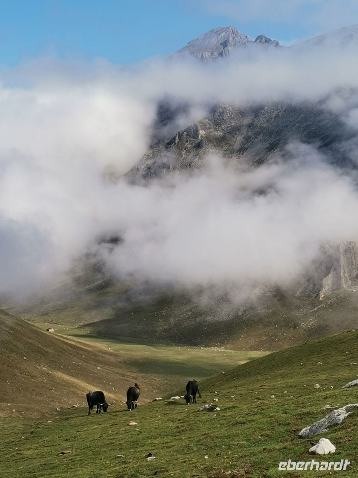 Wie in den Alpen