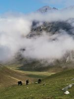 Wie in den Alpen