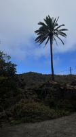 Wir beginnen die Wanderung