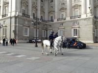 berittene Polizei