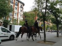 berittene Polizei