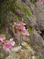 farbige Wegbegleiter 