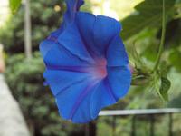 farbige Wegbegleiter 