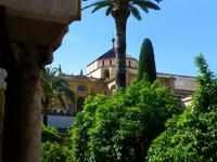 im Orangenhof von Mezquita