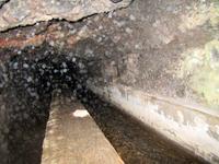 im Tunnel
