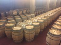 in der Bodega Muga