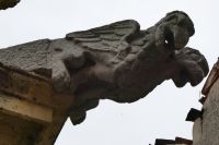 zwei lustige Vögel